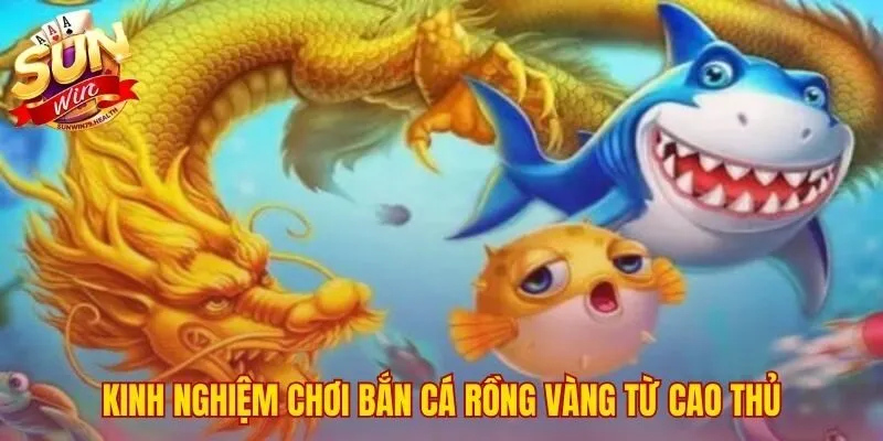 Chiến thuật săn boss hiệu quả trong bắn cá Rồng Vàng SUNWIN